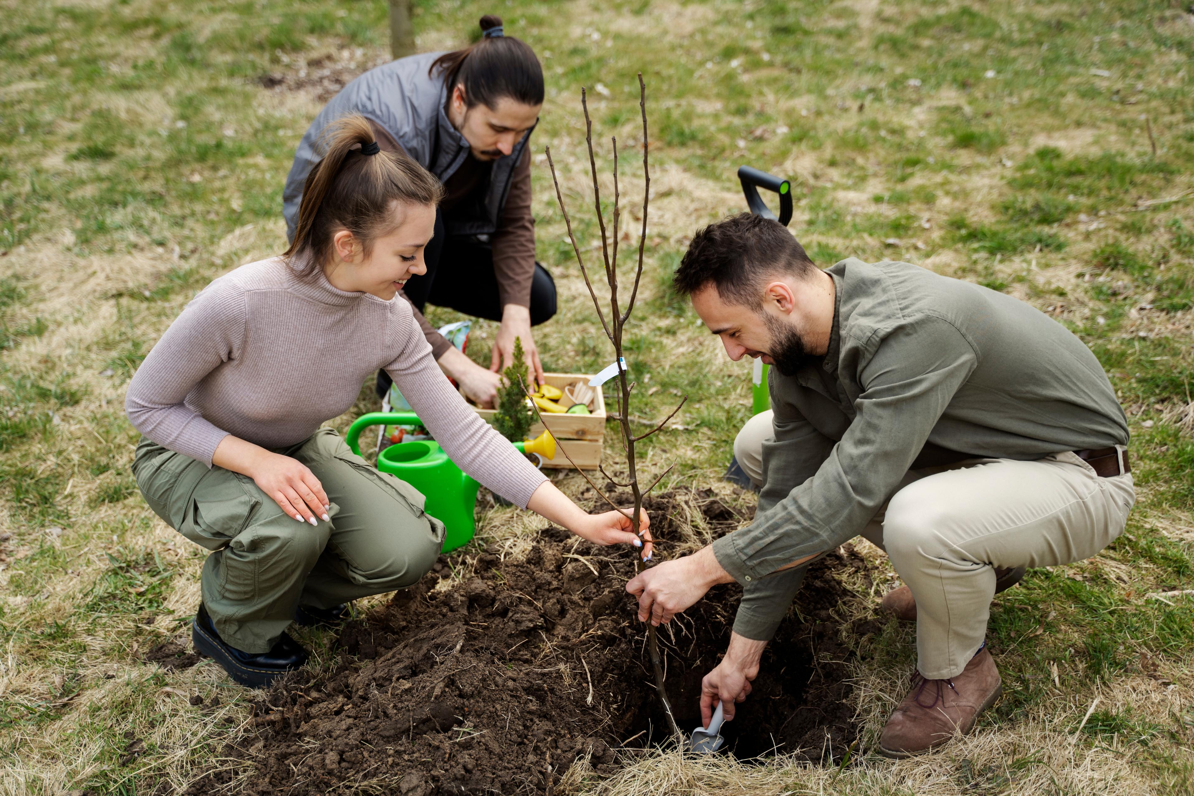 People planting tree